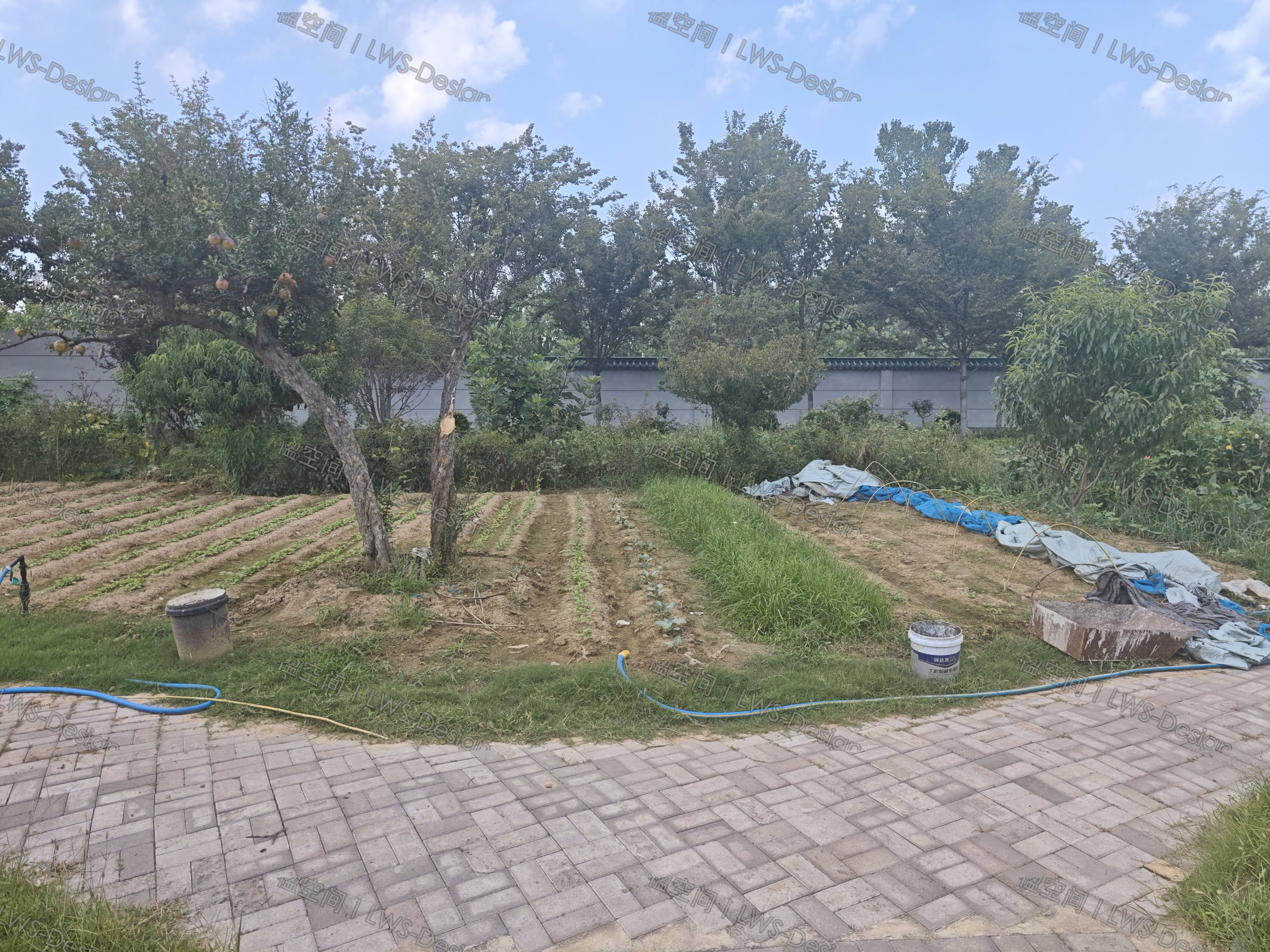 连云港华鑫园区景观现状