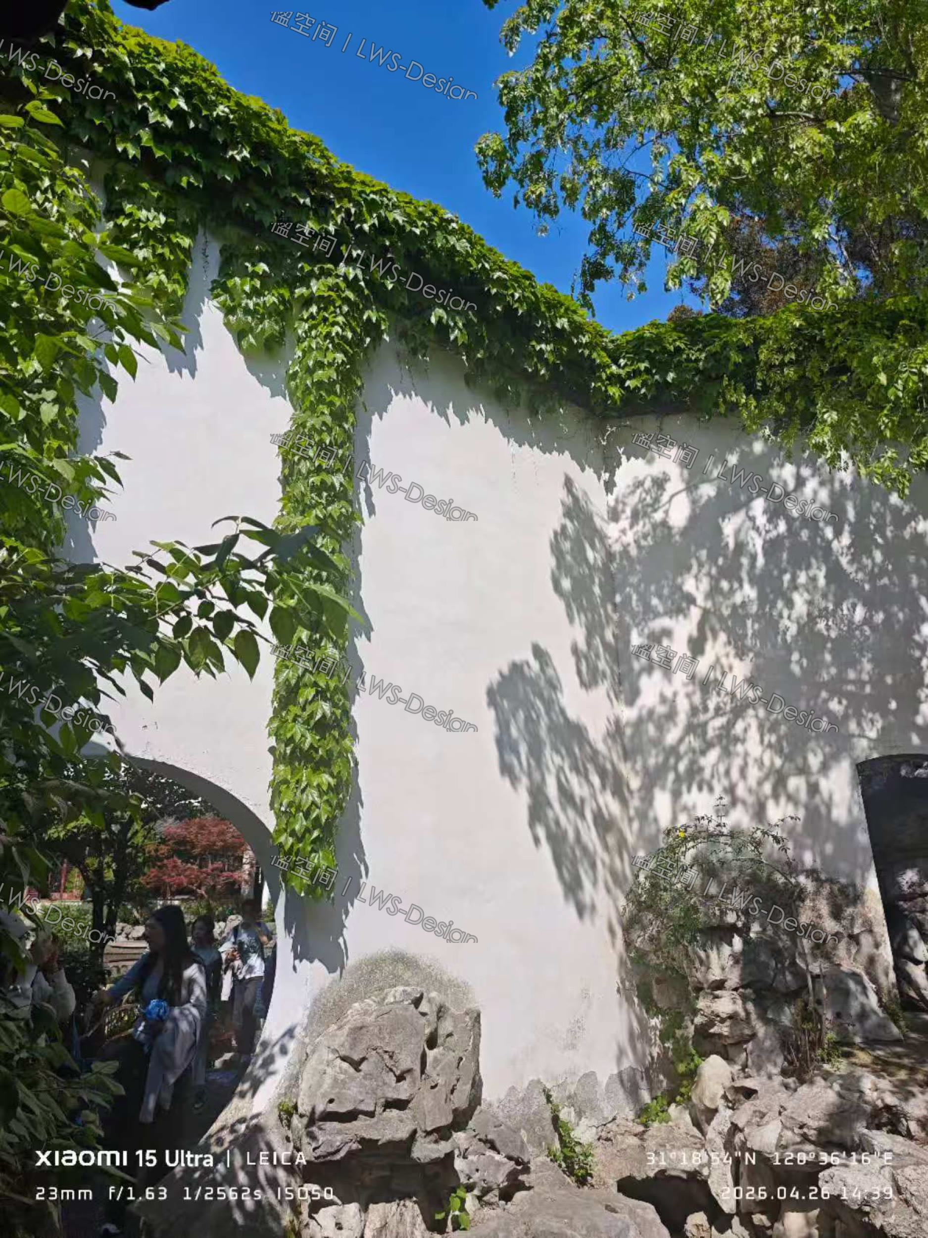 白墙、藤蔓与叠石形成的转折空间